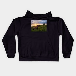 stallion on pasture Kids Hoodie